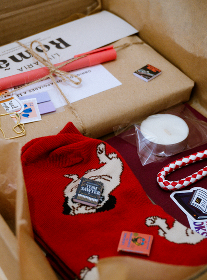 Book Box - Blind Date com um Livro